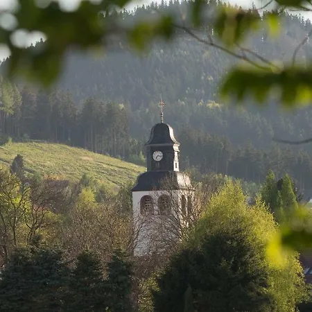 Tom's * 타바르즈