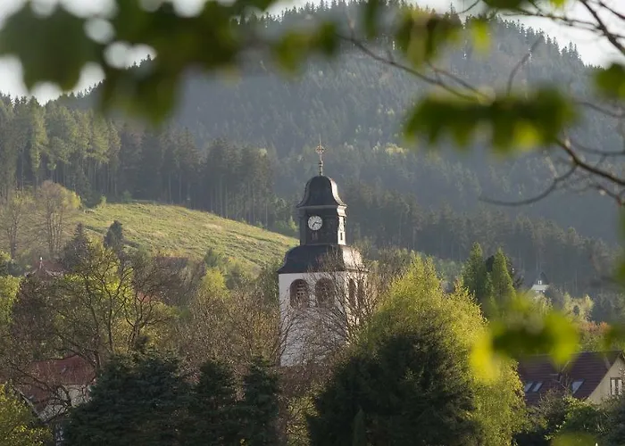 Tom's * 타바르즈